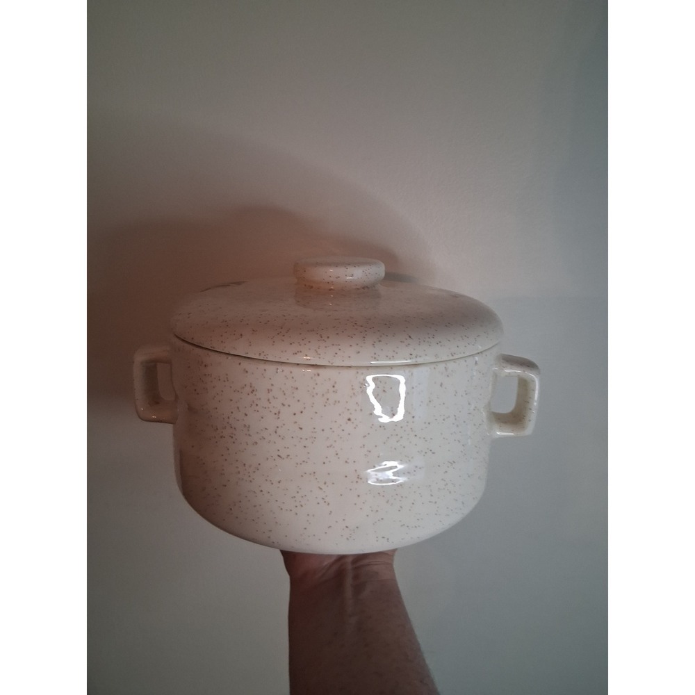 Speckled Stoneware Casserole Dish with Lid Floral Wheat Design Cream - Picture 8 of 8
